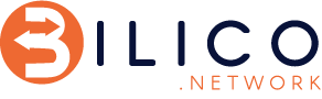 Bilico Network